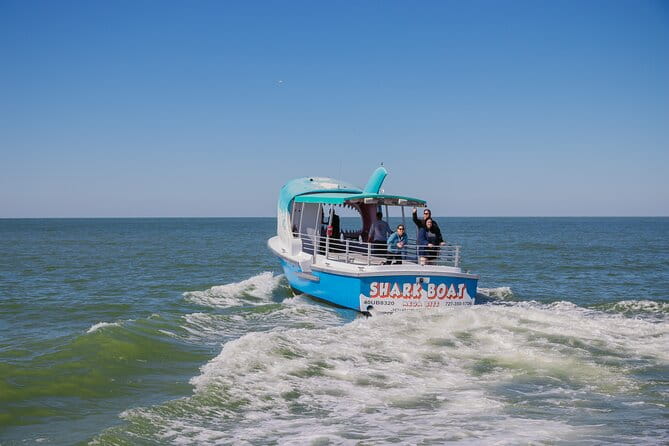 1-hour Dolphin Sightseeing Adventure Cruise from Madeira Beach - FAQs: Your Quick Guide to the Dolphin Sightseeing Cruise
