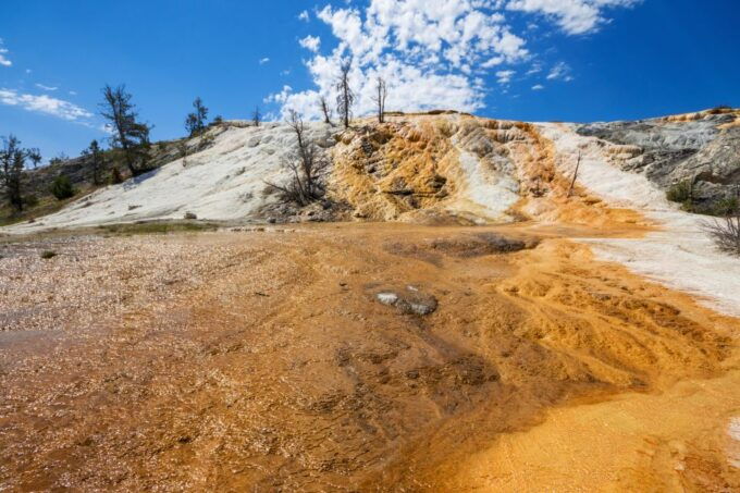 7-Day Yellowstone National Park Rocky Mountain Explorer - In The Sum Up: Who Is This Tour Best For?