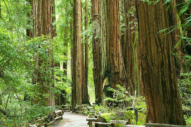 Alcatraz Muir Woods and Sausalito Express with Brunch Credit - The Bottom Line: Who Is This Tour For?