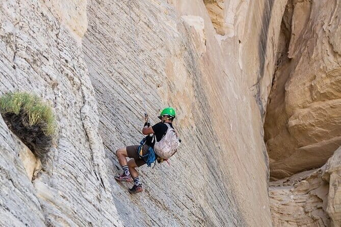 East Zion Elk Heart Cliffs Via Ferrata and Rappelling (3Hr) - Who Should Consider This Tour?