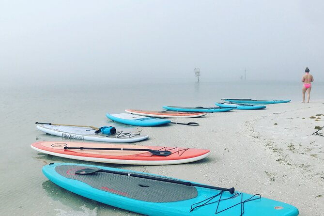 Half Day Rental to John's Pass Sandbar & Mangrove Tunnel - FAQs