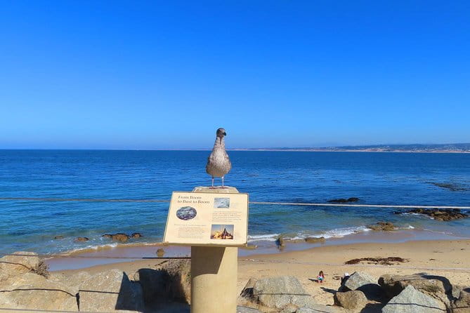 Historic Cannery Row: A Self-Guided Audio Tour of John Steinbeck's Monterey - FAQ