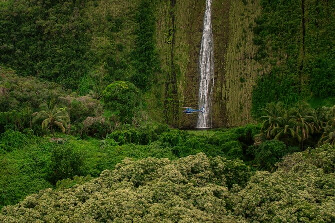 Kohala Waterfalls with Exclusive Landing Helicopter Tour - Who Should Consider This Tour?