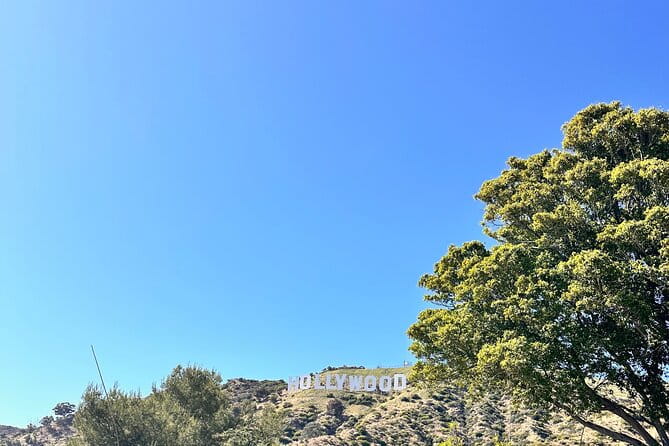 Los Angeles Private Tour - Final Thoughts: Is This Tour Worth It?