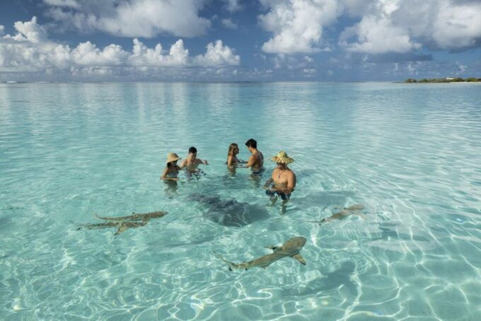 Moorea Highligts: Blue Lagoon Shore Attractions and Lookouts - What the Tour Does Well