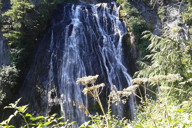 Mount Rainier Tour from Seattle - FAQ