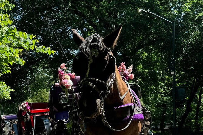 NYC Empire State Horses Carriage Ride in Central Park (45 Mins) - FAQs