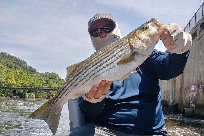 Osprey Fishing Charters: Potomac River Fishing - FAQs