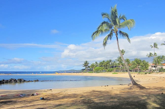 Private Luxury Tour of Kauai: South & West Shores - FAQ
