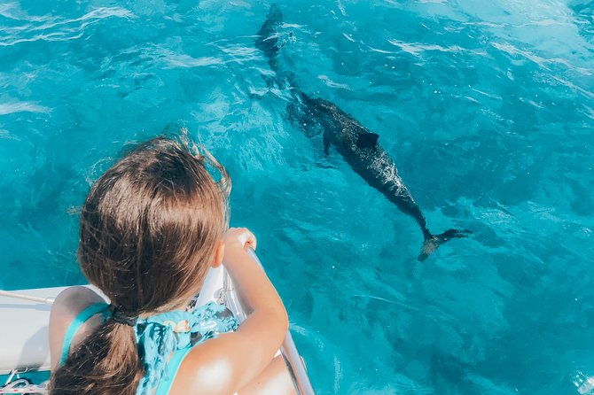 Private Snorkel Trip from Oahu on a Yacht - FAQ: Your Questions Answered