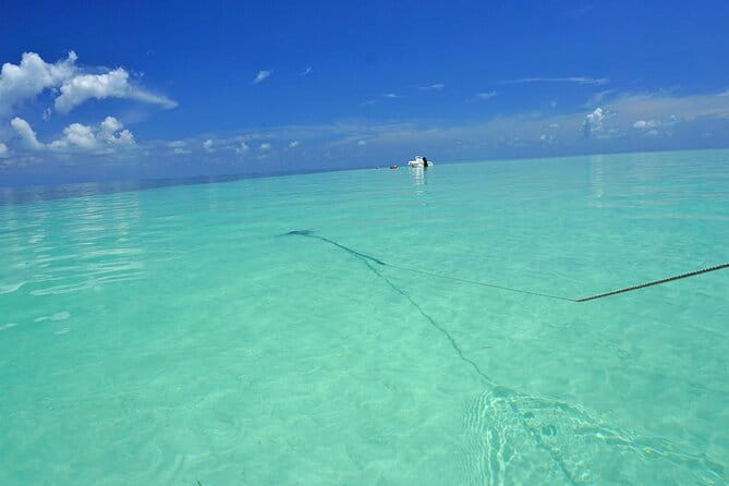 Sandbar Excursion in Key West - Authentic Reviews and Perspectives
