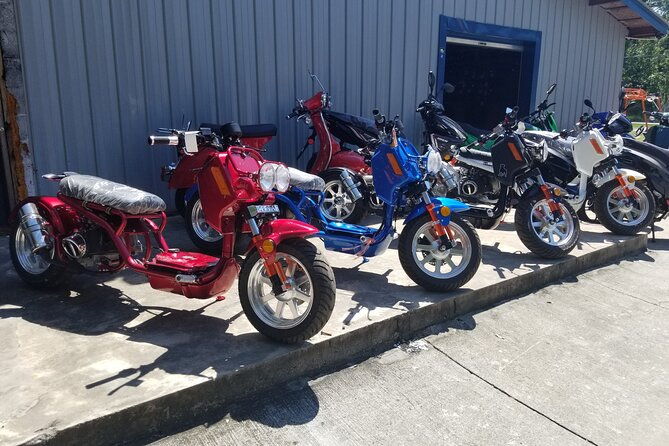 Savannah Scooter and Trike Rental with Helmet - Who Will Love This Experience?