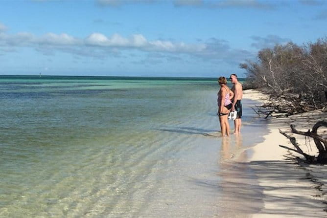 Snorkel, Sandbar & Dolphin Excursion - FAQs