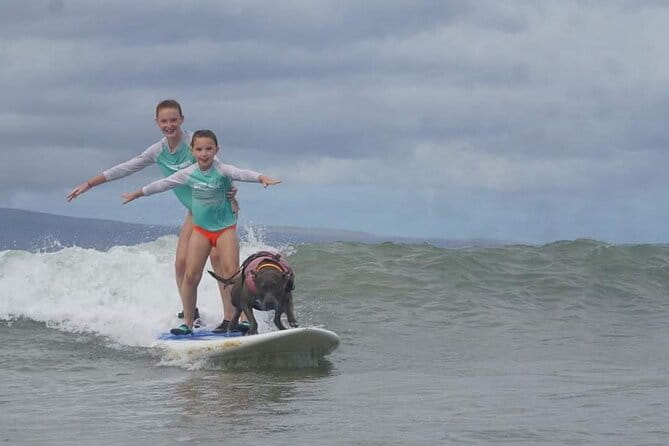 Surf with a Service Animal - FAQ