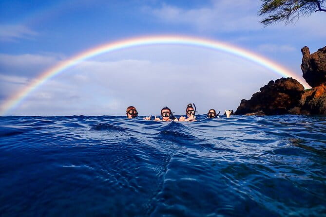 Turtle Town Clear Kayak & Snorkel Tour (10:30am-1pm) - FAQ