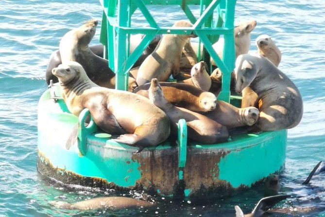 Whale Watching and Fishing Combination Excursions - Final Thoughts on the Experience