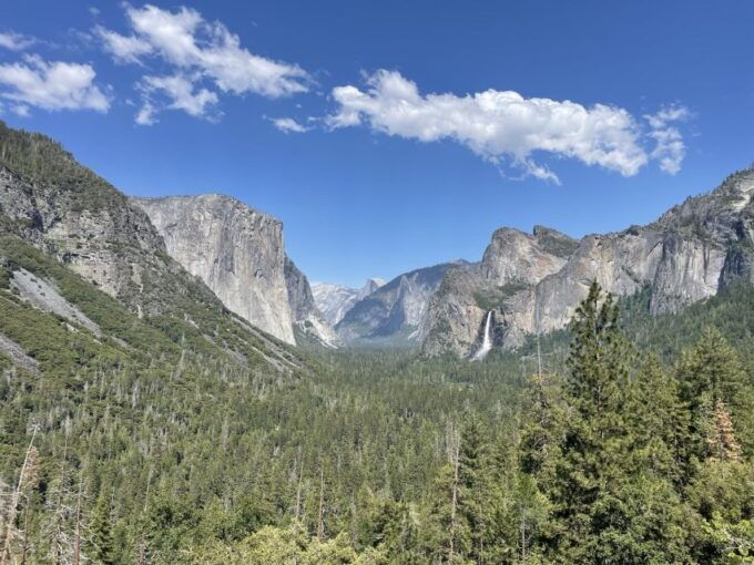Yosemite, Giant Sequoias, Private Tour from San Francisco - To sum it up, this tour suits travelers who value a tailored, relaxed exploration of Yosemite’s highlights, appreciate expert guidance, and are willing to invest in a premium experience. Whether celebrating a special occasion or simply wanting to make the most of a single day, it promises a memorable and immersive journey into one of America’s most breathtaking national parks.