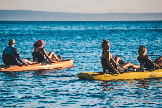 4 hour Private Custom Kayak Tour Lahaina - Who is This Tour Best For?