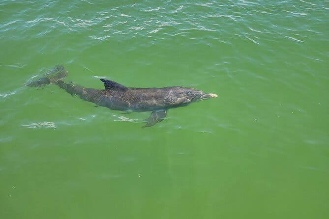 Fort Myers Beach Sunset Excursion - Frequently Asked Questions