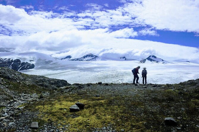 Harding Icefield Trail Hiking Tour - Frequently Asked Questions
