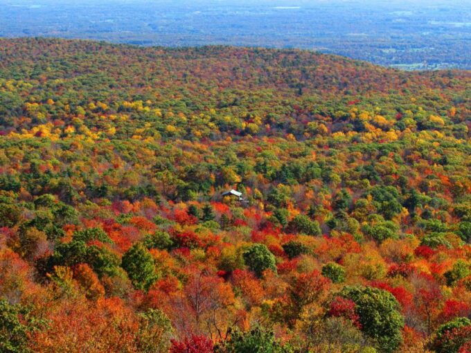 Hudson Valley Fall Foliage Shared Helicopter Tour - FAQ