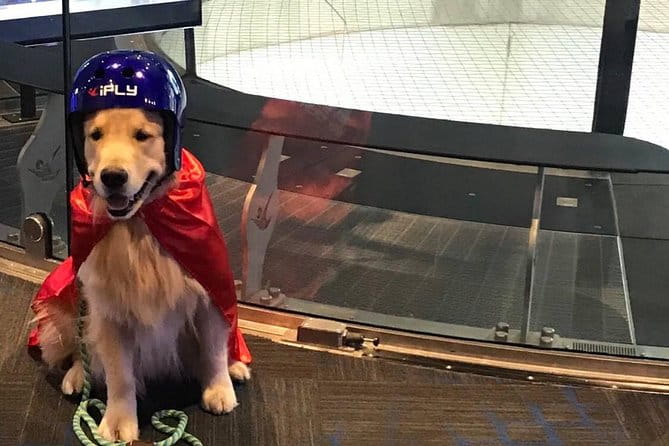 Minneapolis Indoor Skydiving Admission with 2 Flights & Personalized Certificate - Final Thoughts: Is It Worth It?