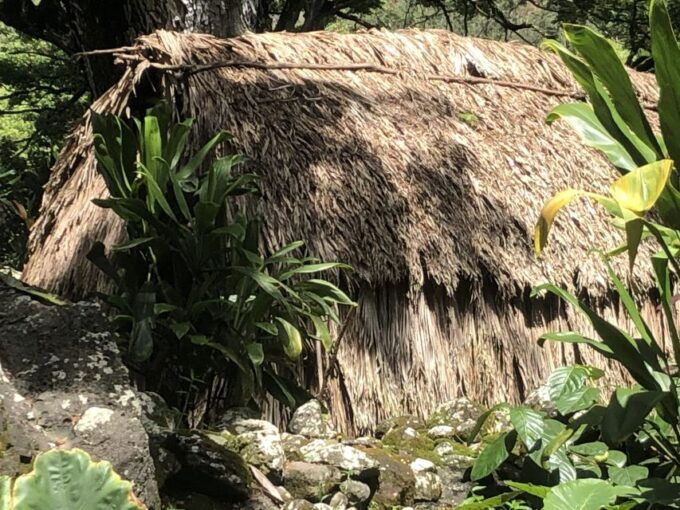 Oahu: Waimea Falls & valley & North Shore day - Final Verdict