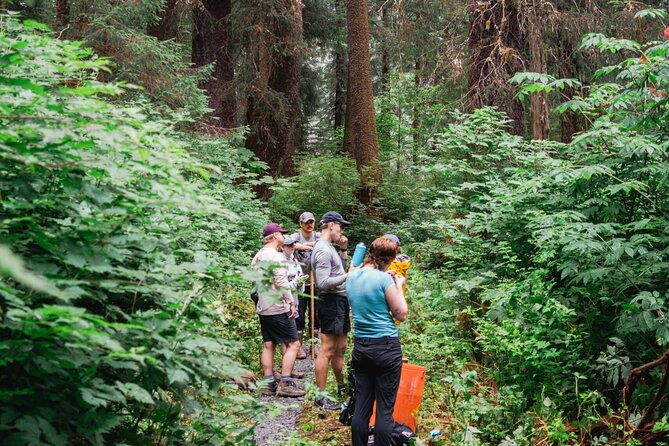 Adventure Hike | ALASKAN WILDERNESS TRAIL - An In-Depth Look at the Tour Itinerary
