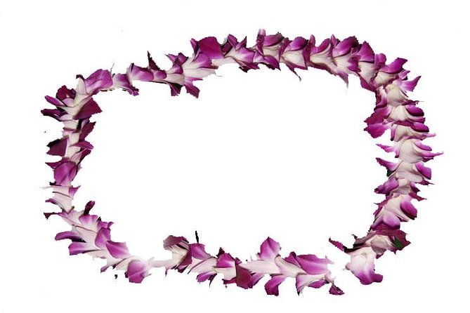 Aloha Lei Greeting on Arrival in Honolulu - Aloha Lei Greeting on Arrival in Honolulu: A Warm Welcome to Oahu