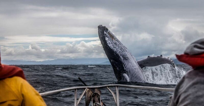 Anchorage: Kenai Fjords & Denali National Park 5 Day Tour - Key Points