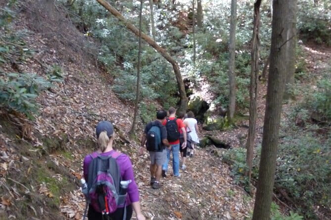 Bartram Trail Hike plus Wine Tasting - Exploring the Bartram Trail Hike plus Wine Tasting Experience