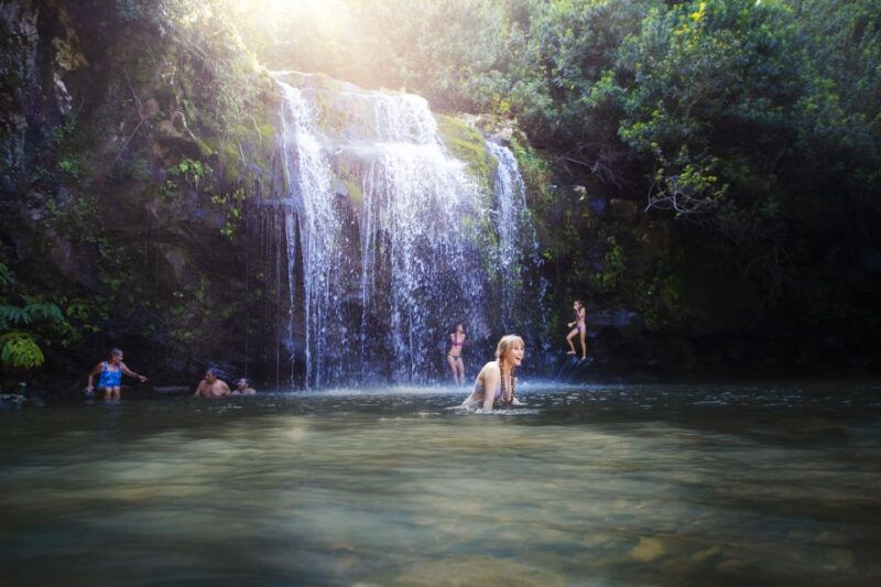 Big Island: Full Day Adventure Tour of the Kohala Waterfalls - Key Points