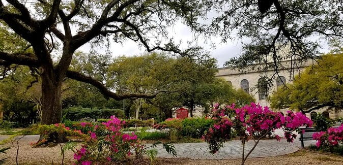 Black History & Tremè Neighborhood Walking Tour - Key Points