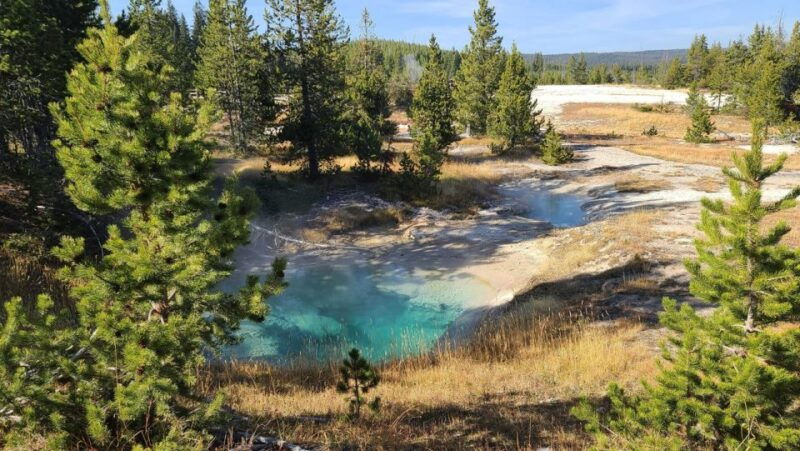 Bozeman: Yellowstone & Grand Teton National Park with Hotel - Key Points