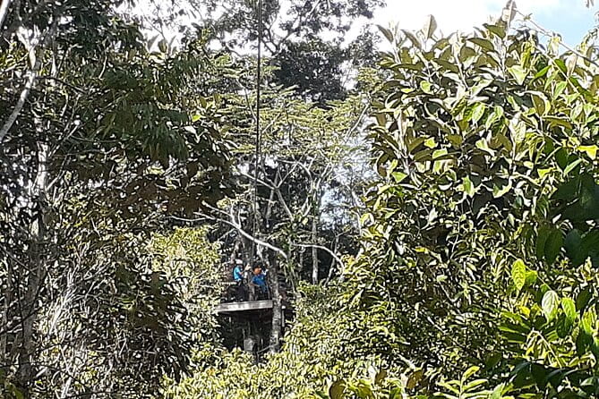 Cave Kayaking or tubing, Ziplines and Altun Ha V.i.V. - An In-Depth Look at the Cave Kayaking, Ziplines, and Altun Ha Tour in Belize