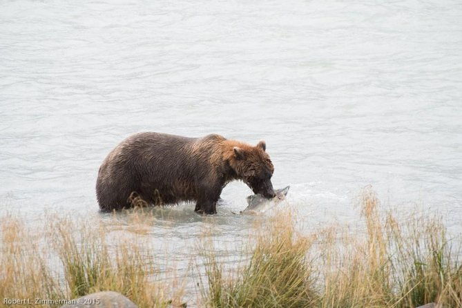 Chilkoot Wilderness and Wildlife Viewing - 6.5 hrs from Skagway - Key Points
