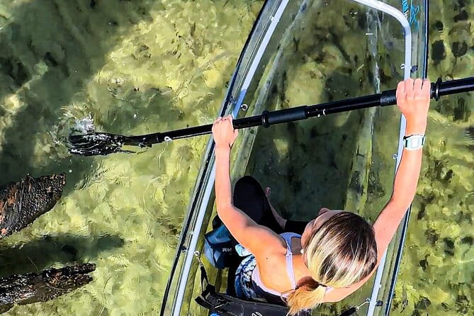 Clear Kayak Ecotour Destin Ft. Walton Beach - Authentic Experiences: What Travelers Say