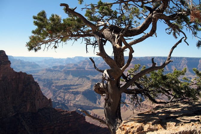 Comprehensive Grand Canyon Tour from Flagstaff - A Full-Day Journey with Rich Highlights