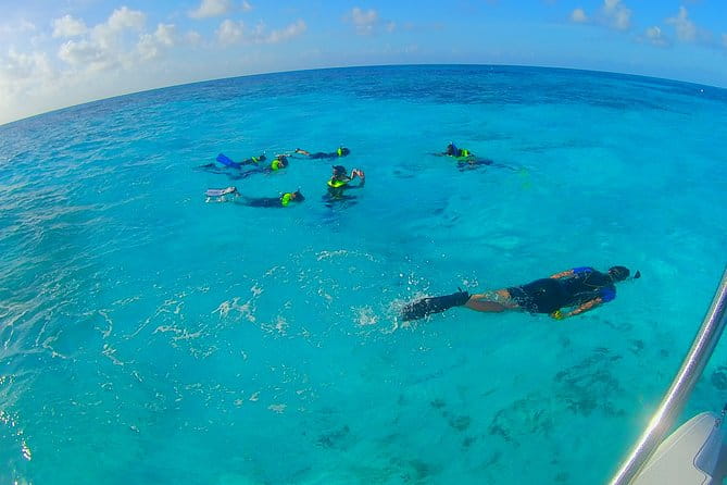 Coral Reef Private Snorkel tour out to John Pennekamp Coral Reef State Park - Key Points