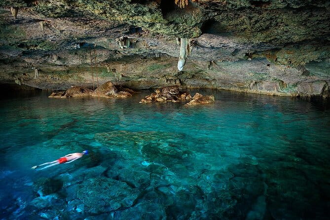 Dolphin, Sea Cave, Captain Cook, Kealakekua Bay Reef Snorkeling - Introduction
