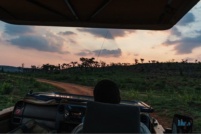 Durban: Big 5 Luxury Safari at an Award Winning Game Reserve — Zeiss Binoculars - An Authentic, Fully-Hosted Safari Experience Close to Durban