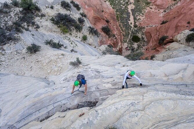 East Zion Via Ferrata & Rappelling Experience (1 Hr) - An Overview of the East Zion Via Ferrata & Rappelling Tour