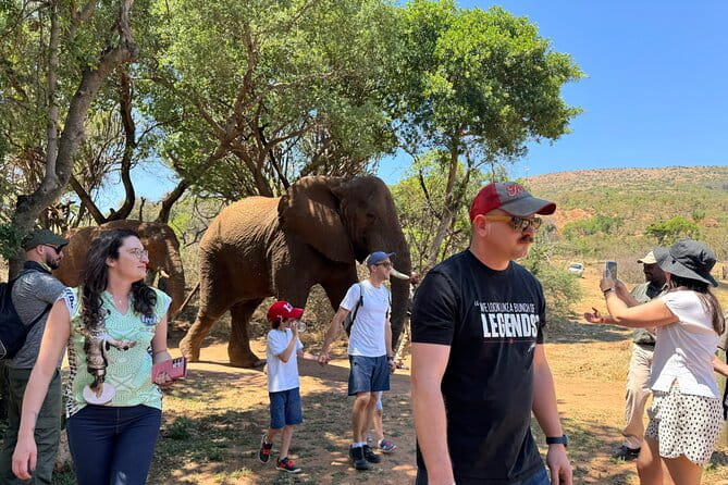 Elephant & Monkey Sanctuary Tour from Johannesburg - Key Points: