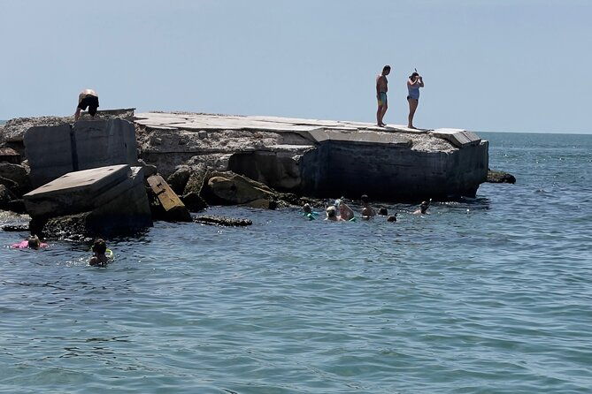 Enticement Charters Snorkel, Shelling in St. Petersburg, FL 3 Hrs - Key Points