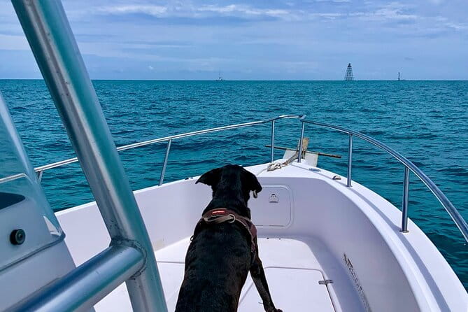 Explore the Waters of Key West from the Reef to the Sandbars - A Closer Look at the Snorkeling Adventure