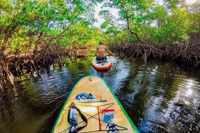 Fort Lauderdale Bonnet House Ground and Guided Paddle Board Kayak - Exploring Fort Lauderdale’s Bonnet House Grounds by Paddleboard and Kayak