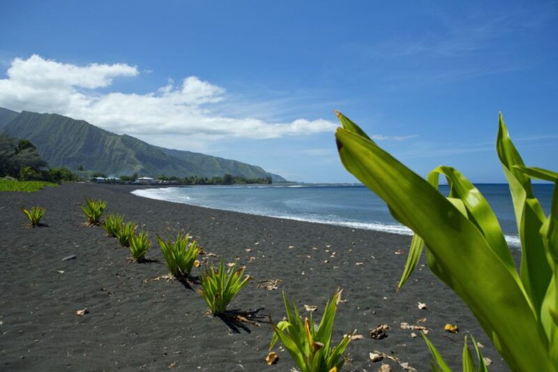 From Papeete: Tahiti Highlights Full-Day Private Tour - Key Points