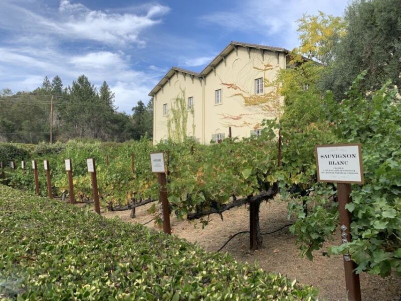 From San Francisco: Private Muir Woods and Napa Wine Tour - From San Francisco: Private Muir Woods and Napa Wine Tour