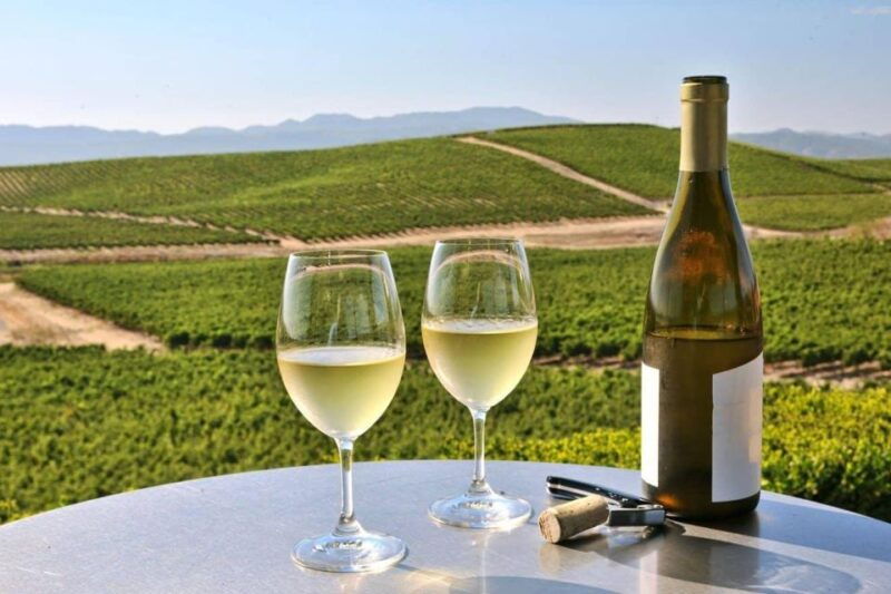 From SFO - Enchanted Napa & Sonoma Wine Tour in SUV - Key Points