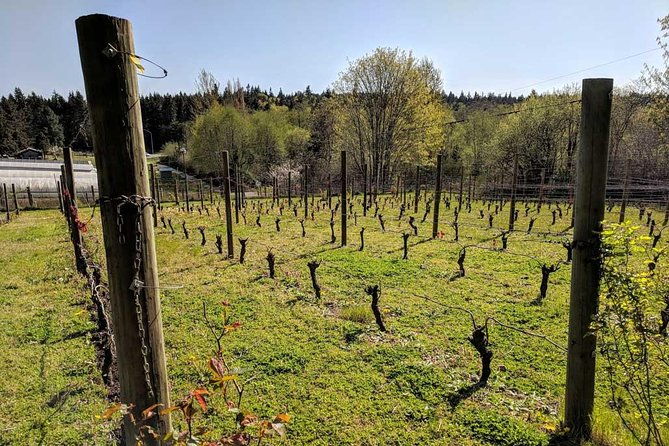 Full-Day Small-Group Bainbridge Island Wine and History Tour - Key Points